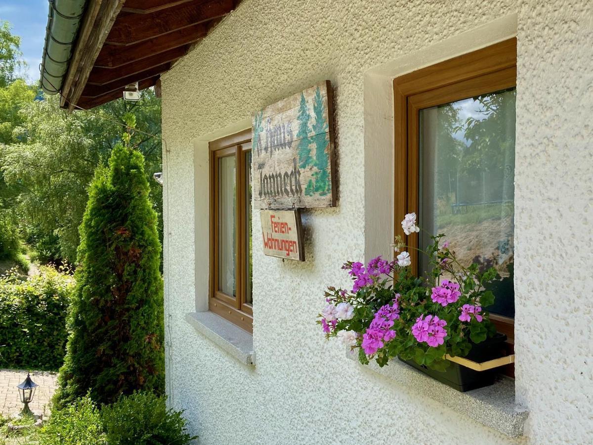 Haus Tanneck Appartamento St. Blasien Esterno foto